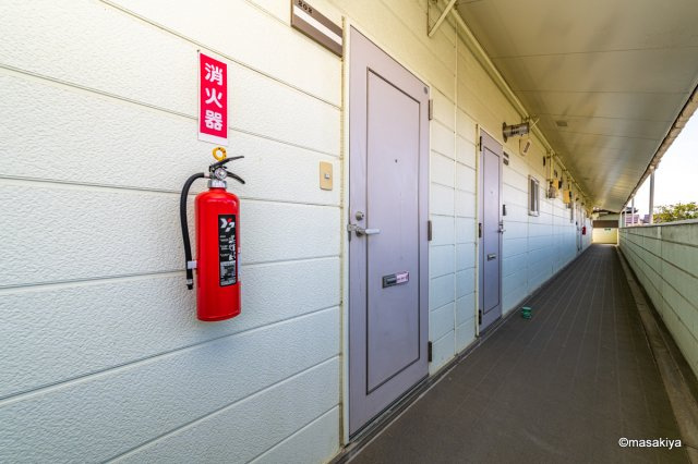 ベルシャイン本郷のエントランス|玄関