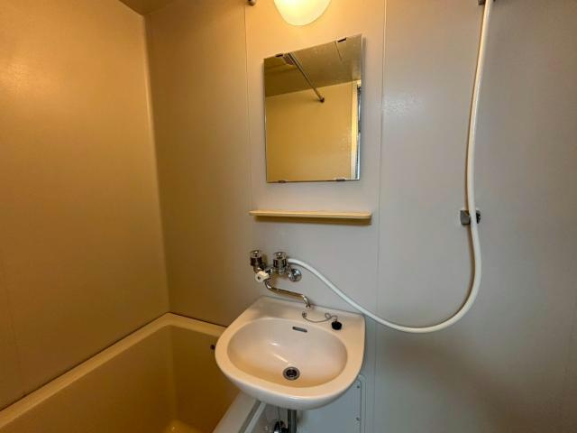 メゾンあまかわの洗面所