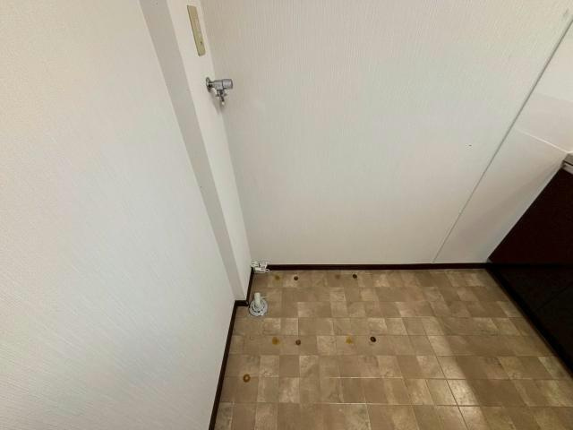 メゾンあまかわの洗面所