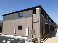 メルシーの画像