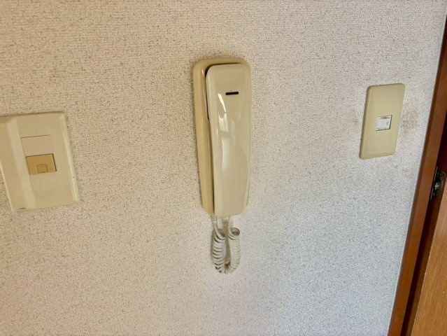 ヴァールシュテルンのセキュリティ