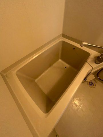 シャレオ上大市の浴室