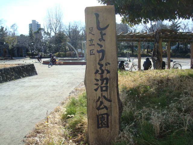 アヴニール北綾瀬のその他|しょうぶ沼公園