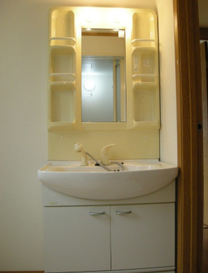 メゾン・佐野の洗面所