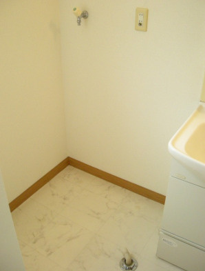 メゾン・佐野の洗面所