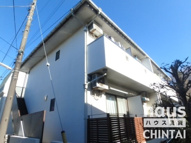 プリムローズの画像