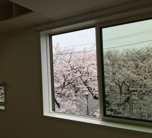 綱島西戸建の展望