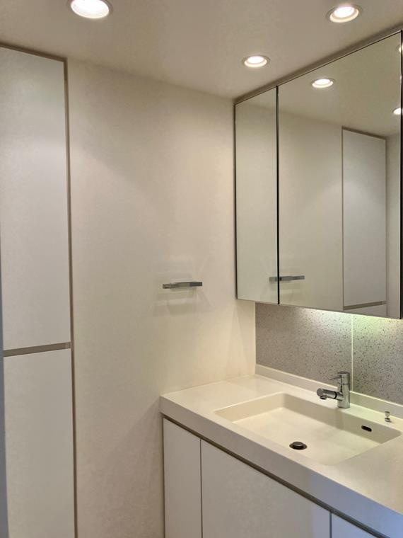 パークタワーグランスカイの洗面所