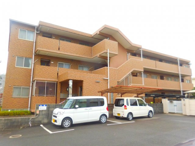 アムールカセイの外観