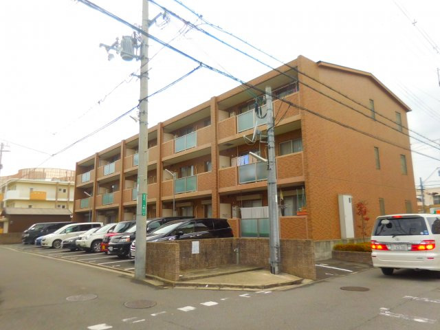 アムールカセイの外観