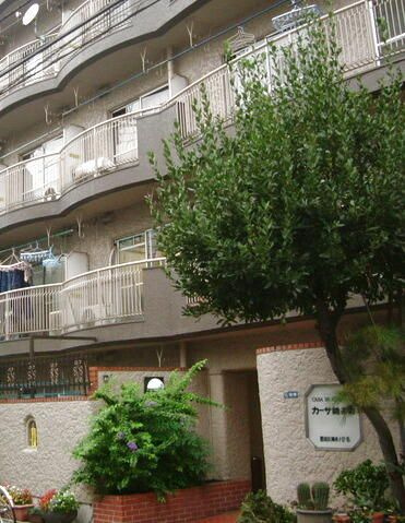 カーサ錦糸町のエントランス