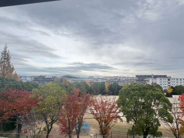 シプレスの展望