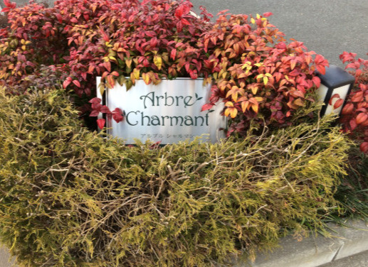 アルブルシャルマンの庭