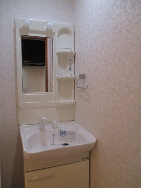 高畑レジデンスの洗面所