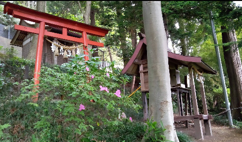 青森県八戸市　一棟アパートのその他