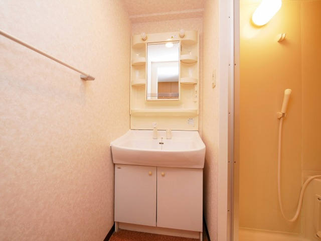 大阪市中央区松屋町住吉の賃貸マンションの洗面所