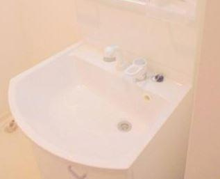 ライジングプレイス押上の洗面所