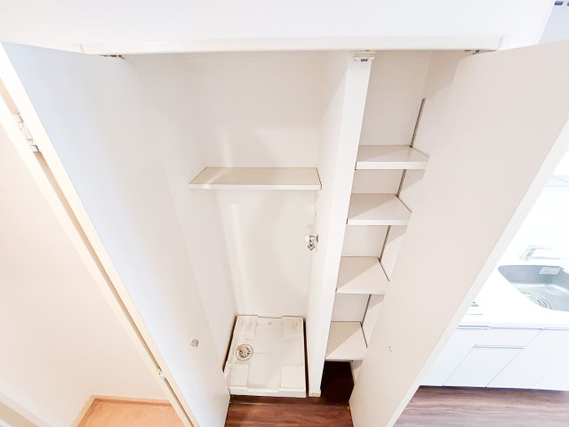 サヴォイフェアリーパーク　2階の収納|別号室のものです。現状優先になります。
※床・設備の色はお部屋によって異なります。