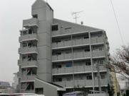 THE　COMFORTの画像