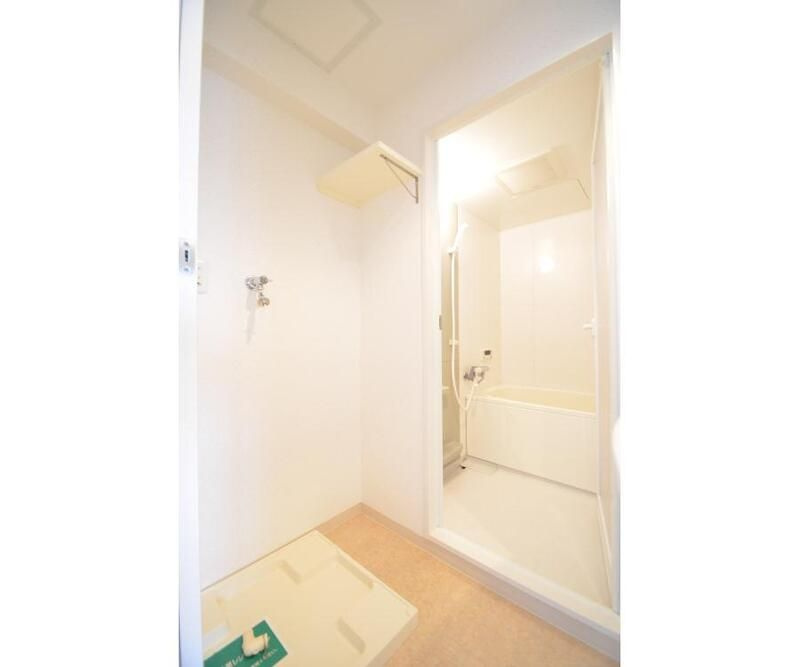 Ｓｏｌｅｉｌのその他