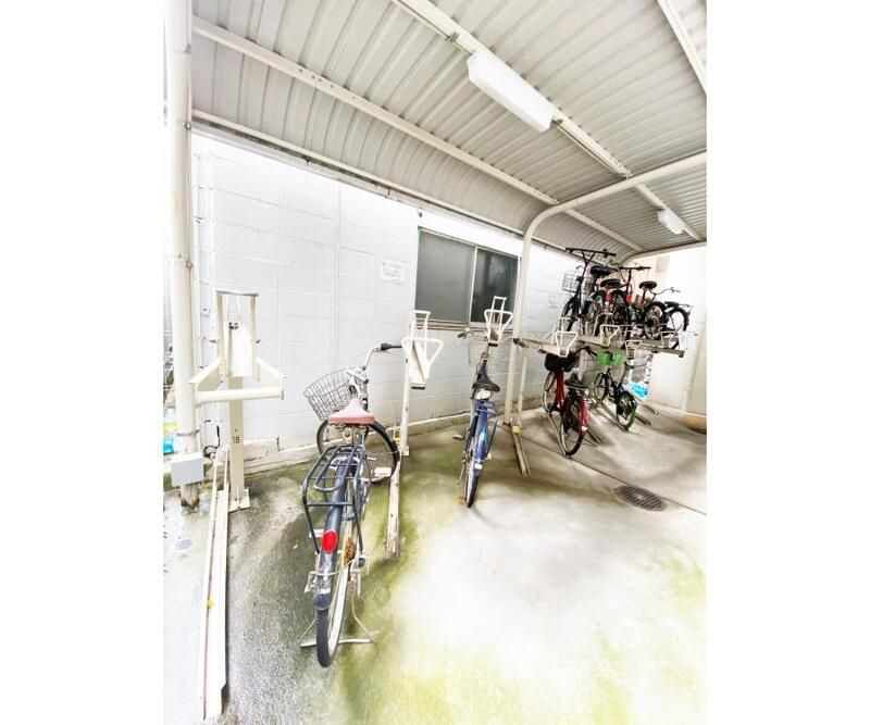 Ｓｏｌｅｉｌのその他