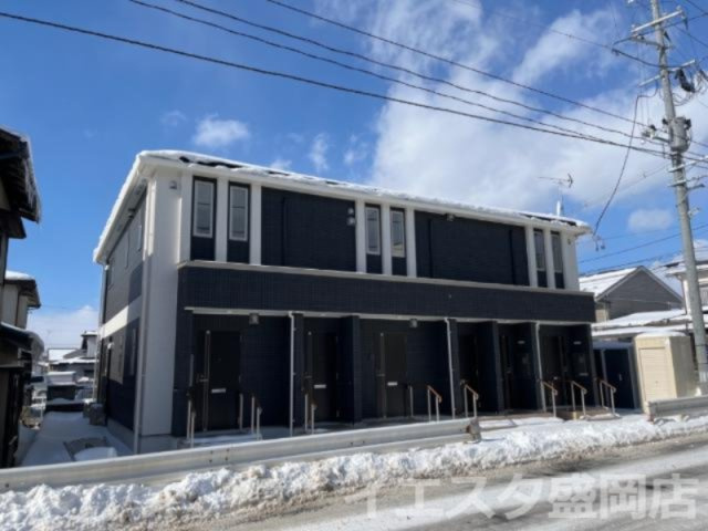 シルバーフォックス