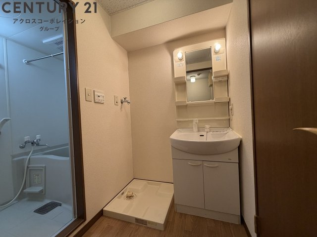 シャンプードレッサー