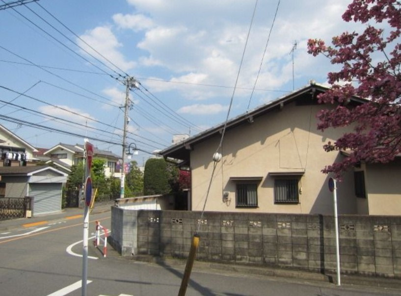 エイシンロジュマンの展望