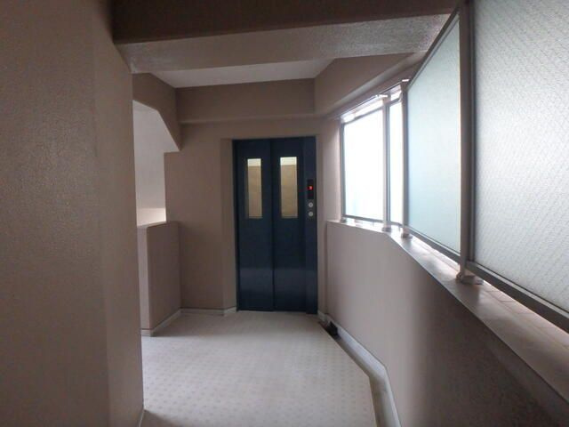 プリマヴェーラのその他