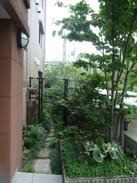 ぐらすはうすの展望