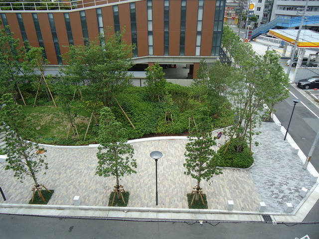 ぐらすはうすのその他|前面道路