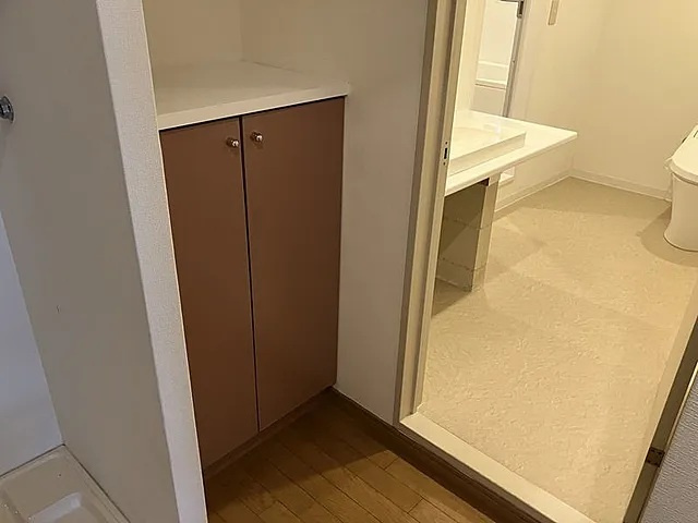 オリエントコートの洗面所