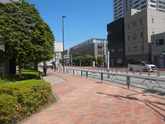 パークハウス清澄白河タワーの周辺