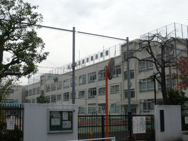 コンフォリア墨田立花の周辺