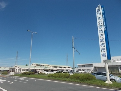 【周辺】 | メゾンベルデ　Ｂ | 水戸市公設地方卸売市場まで1100m