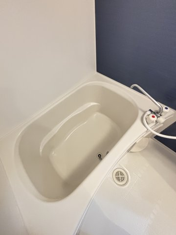 イル　マーレ　Ｂの浴室