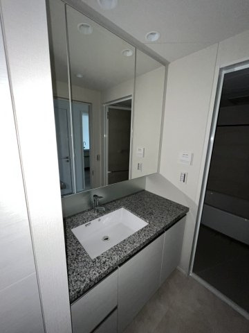 ザ・タワー十条の独立洗面台