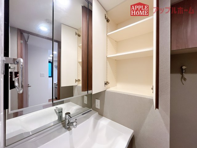 プレシスヴィアラ東大宮の独立洗面台