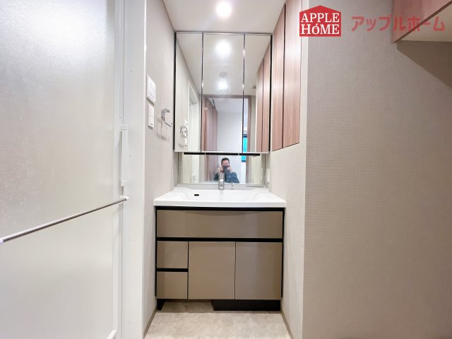 プレシスヴィアラ東大宮の独立洗面台