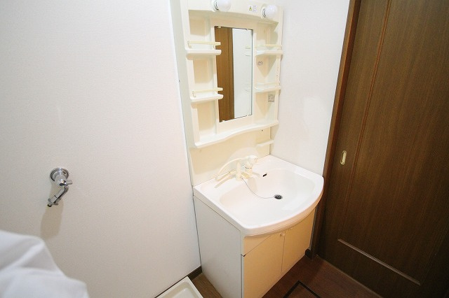 Blue Berry Houseの洗面所