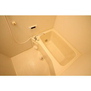 Blue Berry Houseの浴室