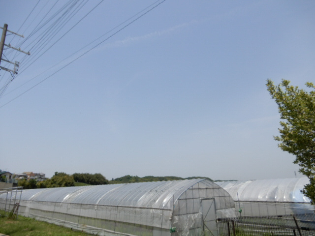 フェイリス・カーサの展望