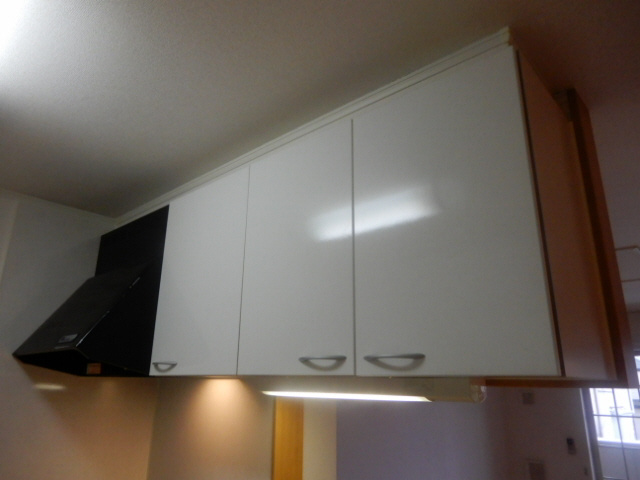 フェイリス・カーサのその他