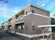 シトラス　コートの画像