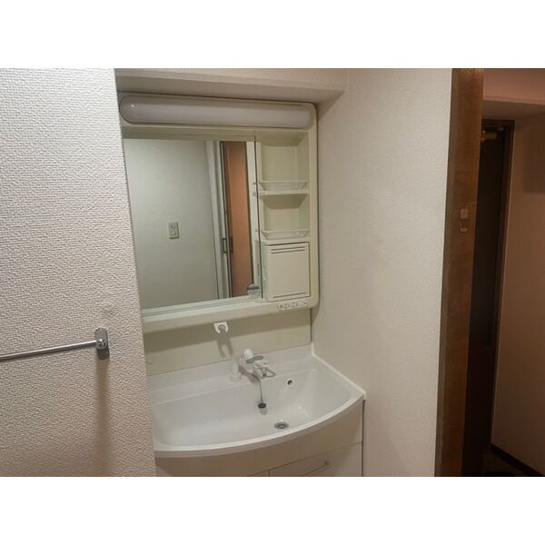 ロイヤルヴェール山下の洗面所