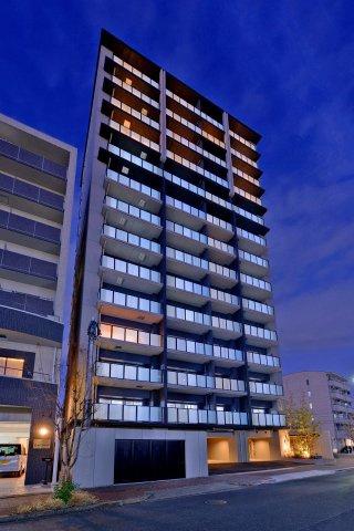 プラセシオン原の外観