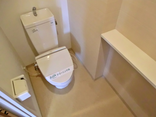 アンボワーズのトイレ|綺麗なトイレ！棚付きです♪