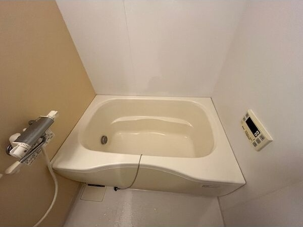 ヴィラリリオの浴室