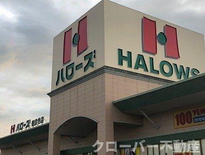 レオネクストグランデ　セコンドの周辺