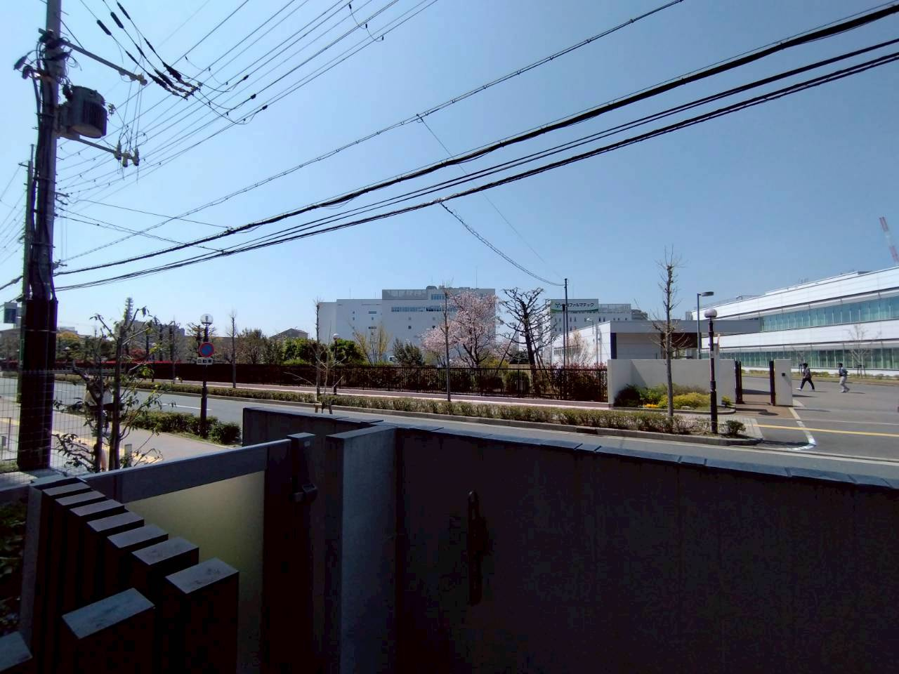 サニーコートティアラの展望